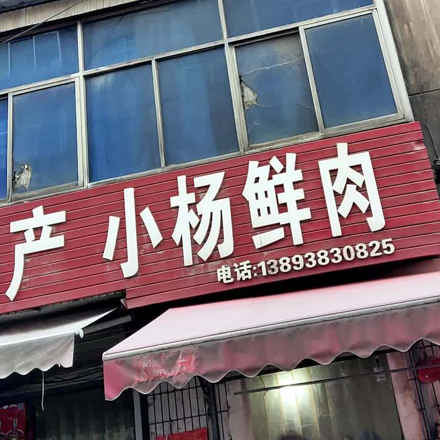 小杨鲜肉