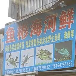 鱼彬河海鲜