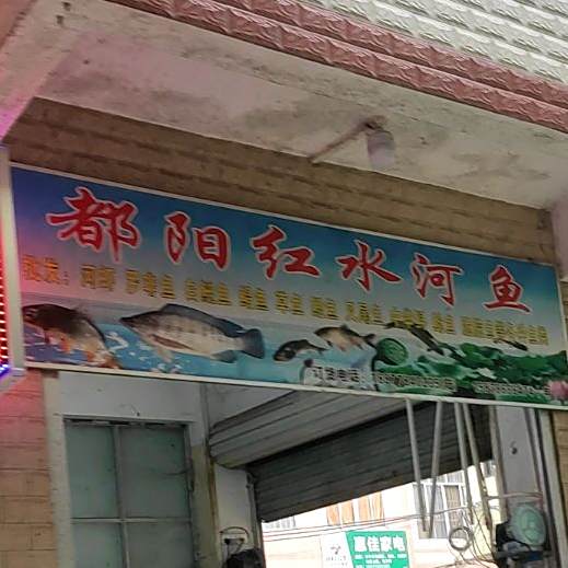 贡川红水鱼