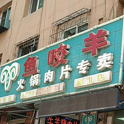 鱼咬洋火锅肉片专卖(彩北店)