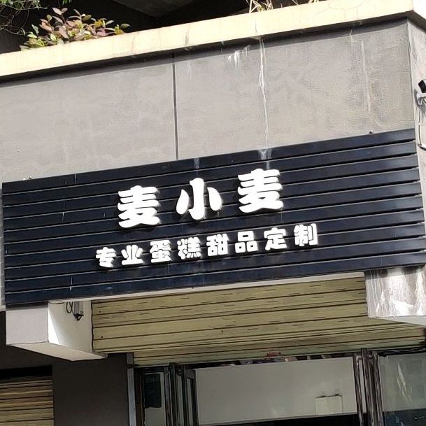 麦小麦专业蛋糕甜品定制