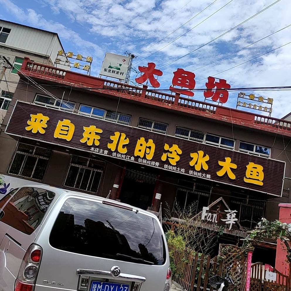 东北的冷水大鱼