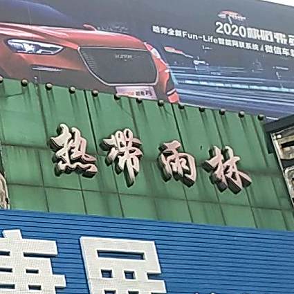热带鱼林