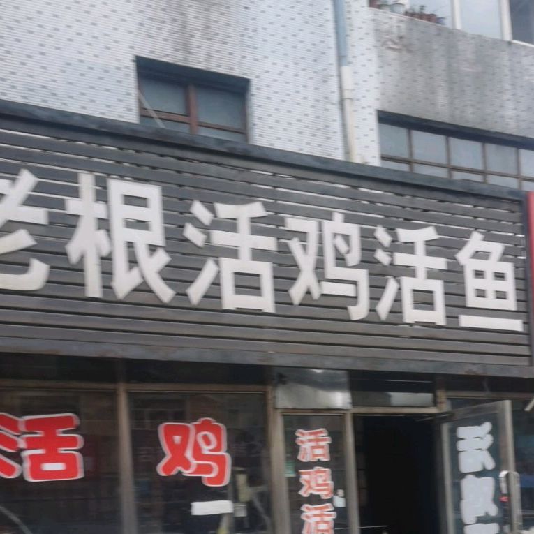 老根活鸡活鱼