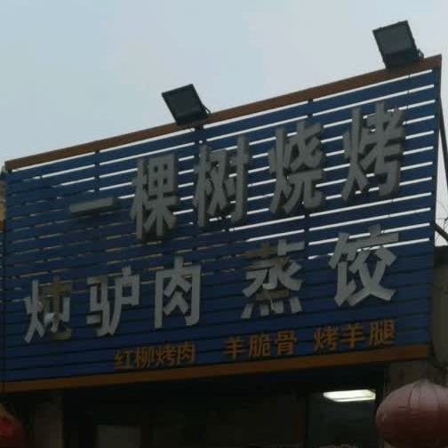 一颗树烧烤(丰盈道店)