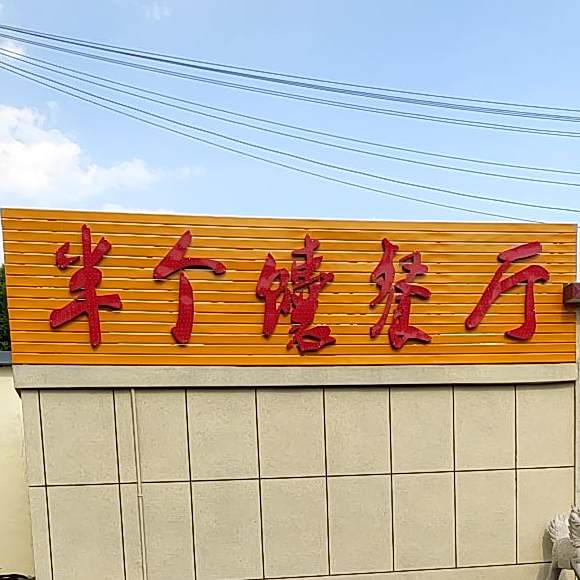 半个馕新疆美食烧烤