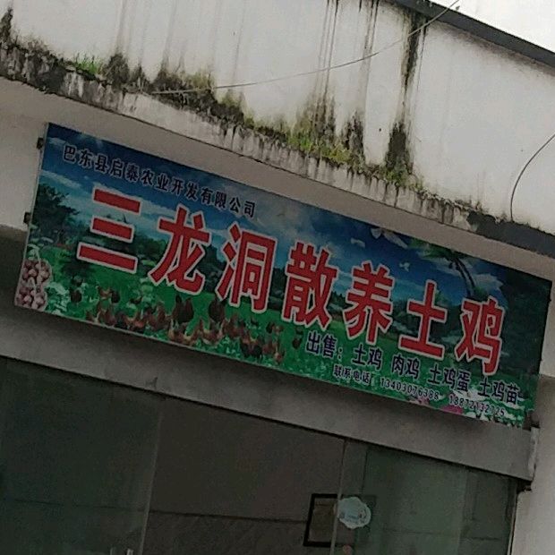 恩施土家族苗族自治州巴东县沿罗路沿渡河镇民族中心小学西南侧约280米