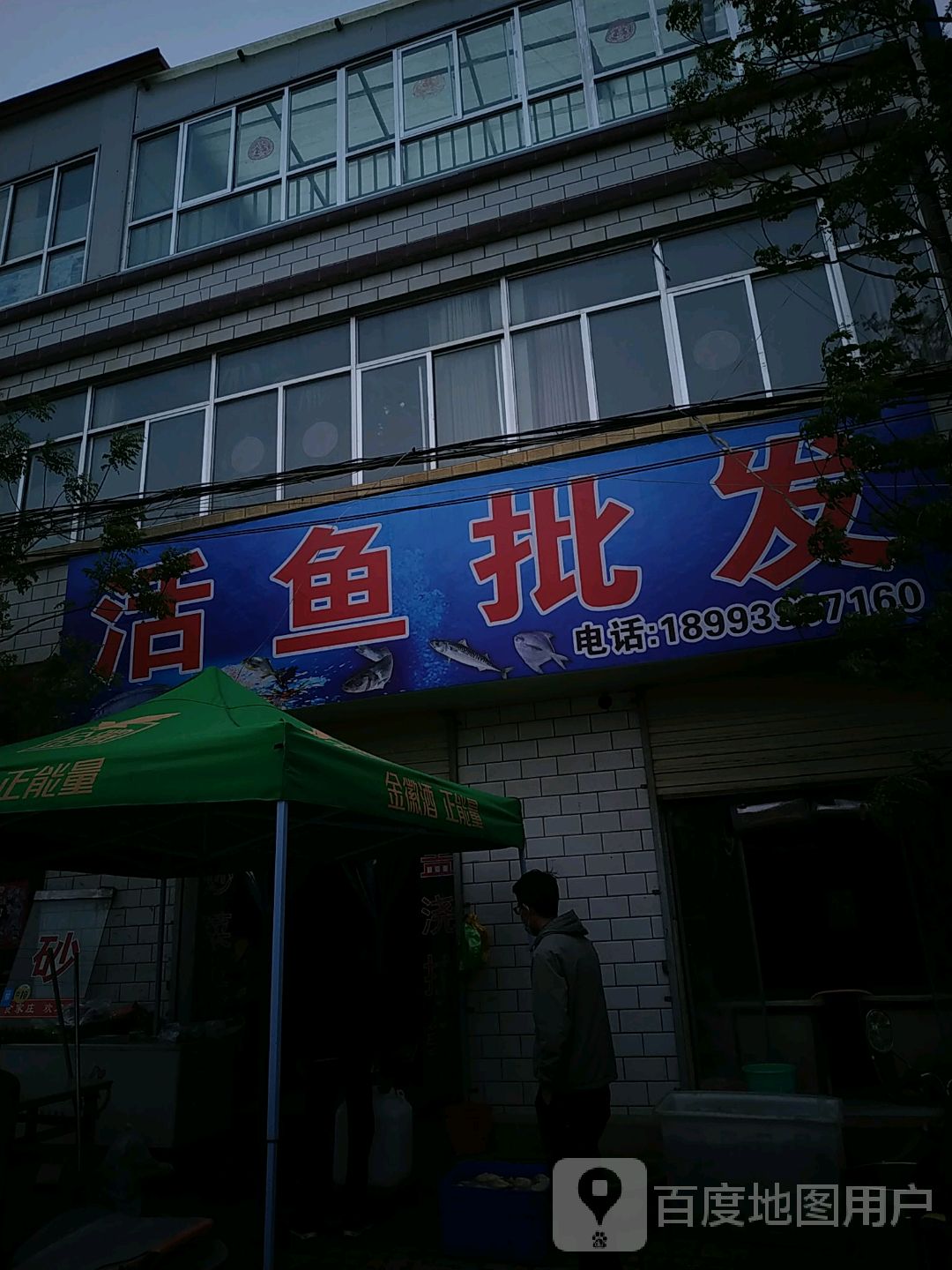 活鱼批发