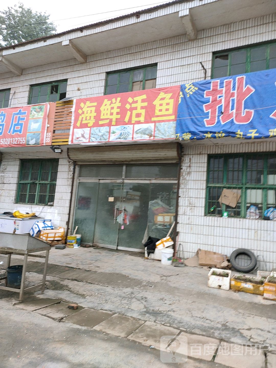 海鲜鱼活