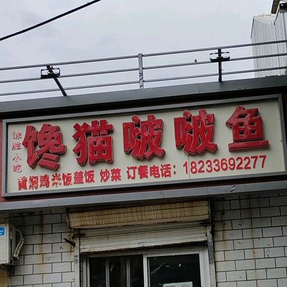 馋猫啵啵鱼