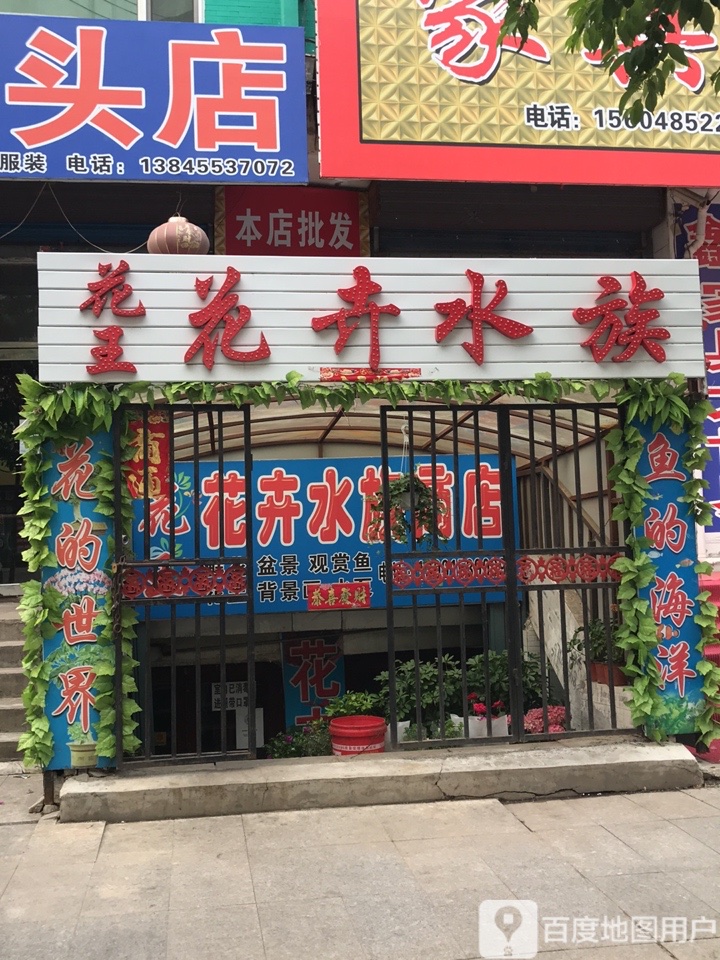 花王花卉水族