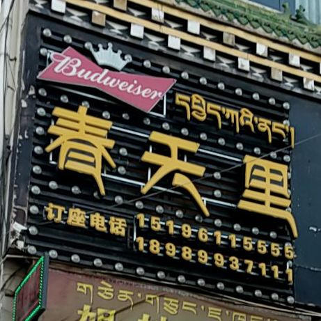 春天里音乐酒吧(雪域港湾店)