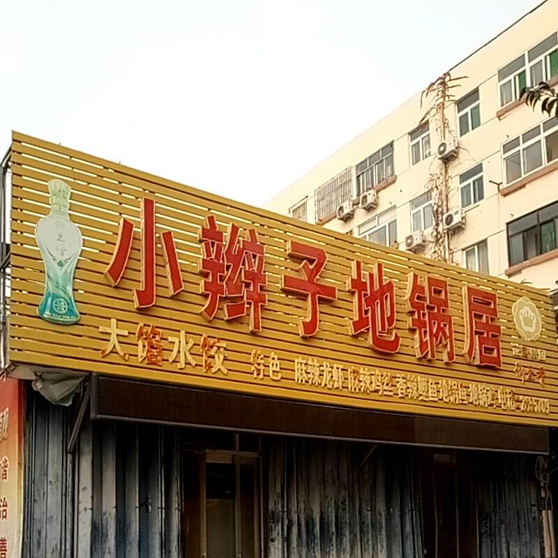 小辫子地锅居