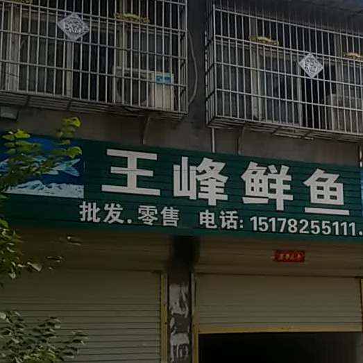 王峰家琴批发