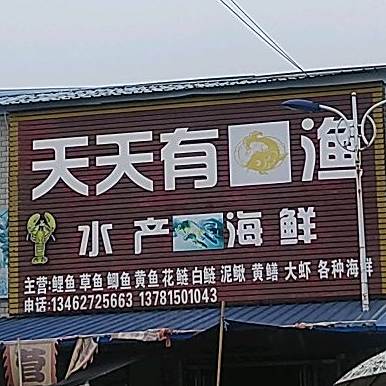 天天有渔