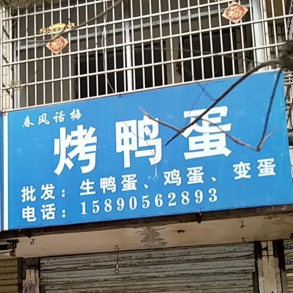 郸城县春风话梅烤鸭蛋(建设路店)