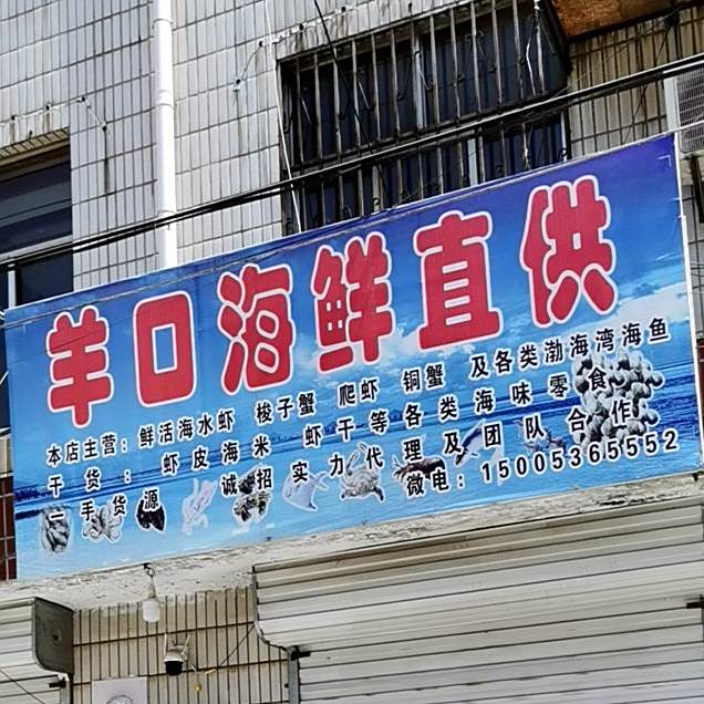 羊口海鲜直供
