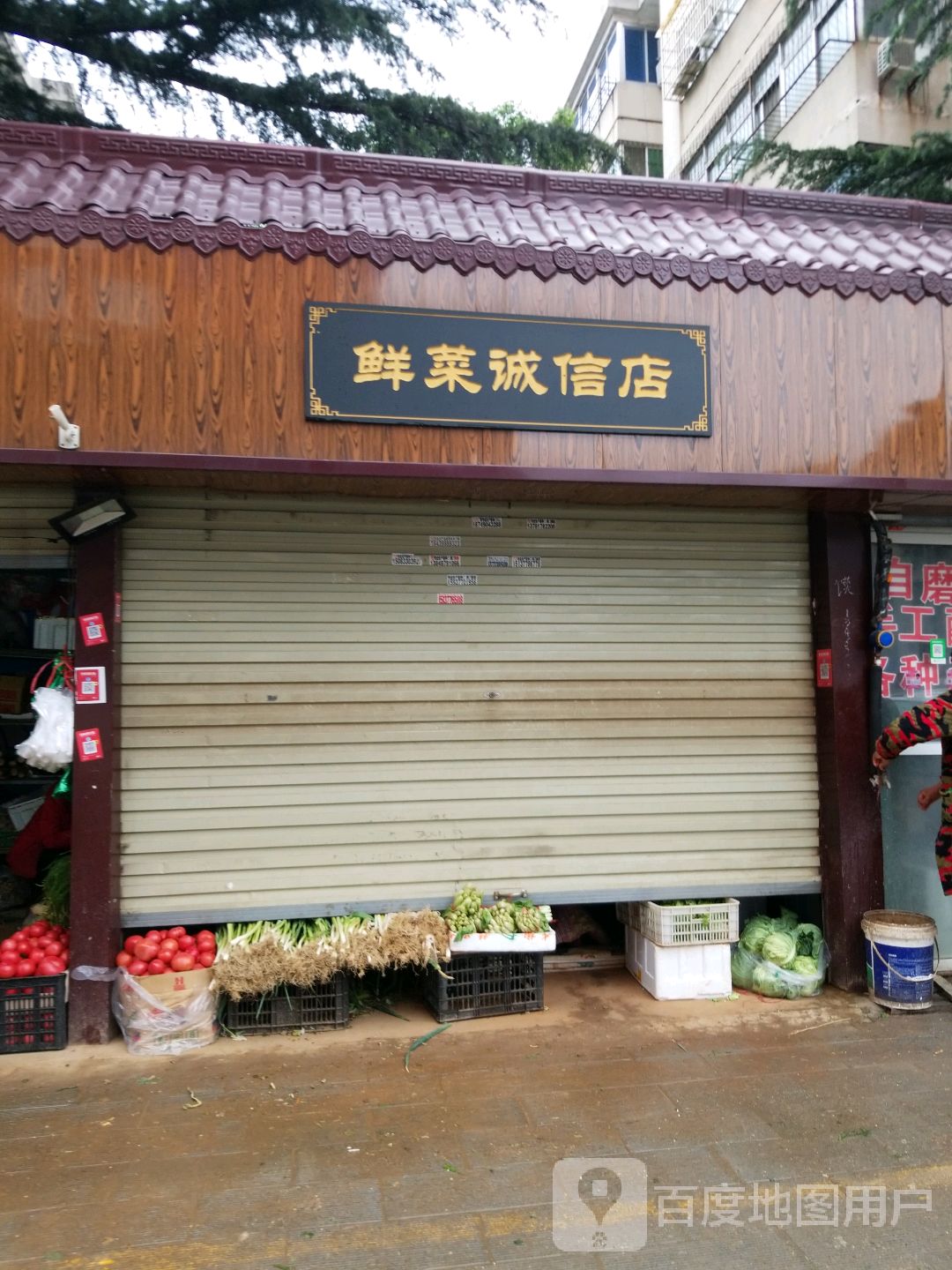 鲜菜诚信店(港岛路店)