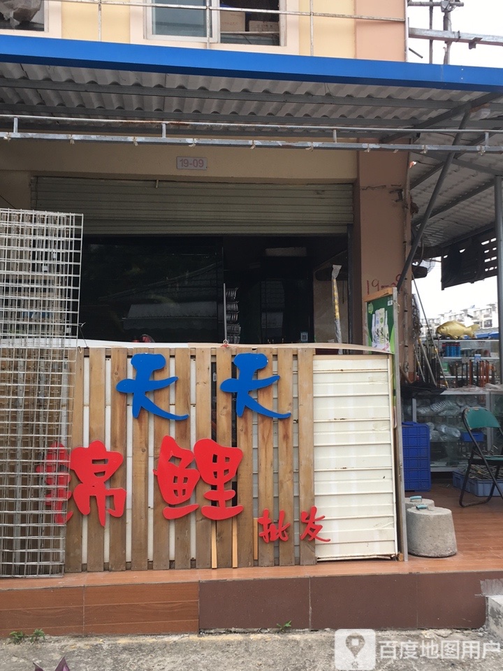 天天水族馆