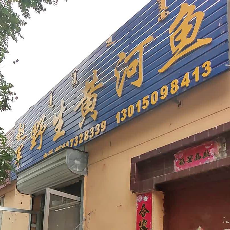 赵军野生黄河鲤鱼