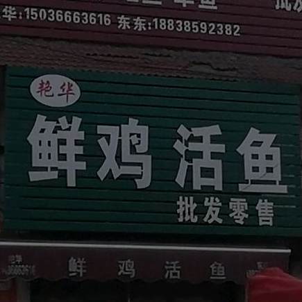 鲜鸡鱼馆批发零售