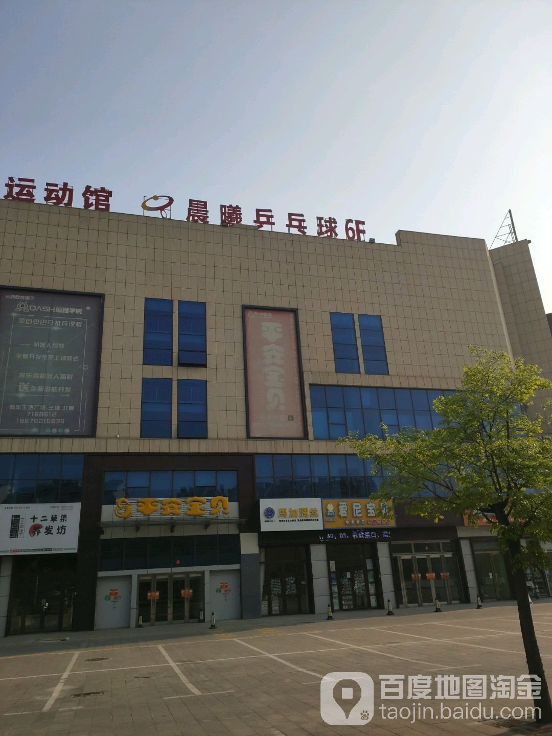 晨熹乒乓球