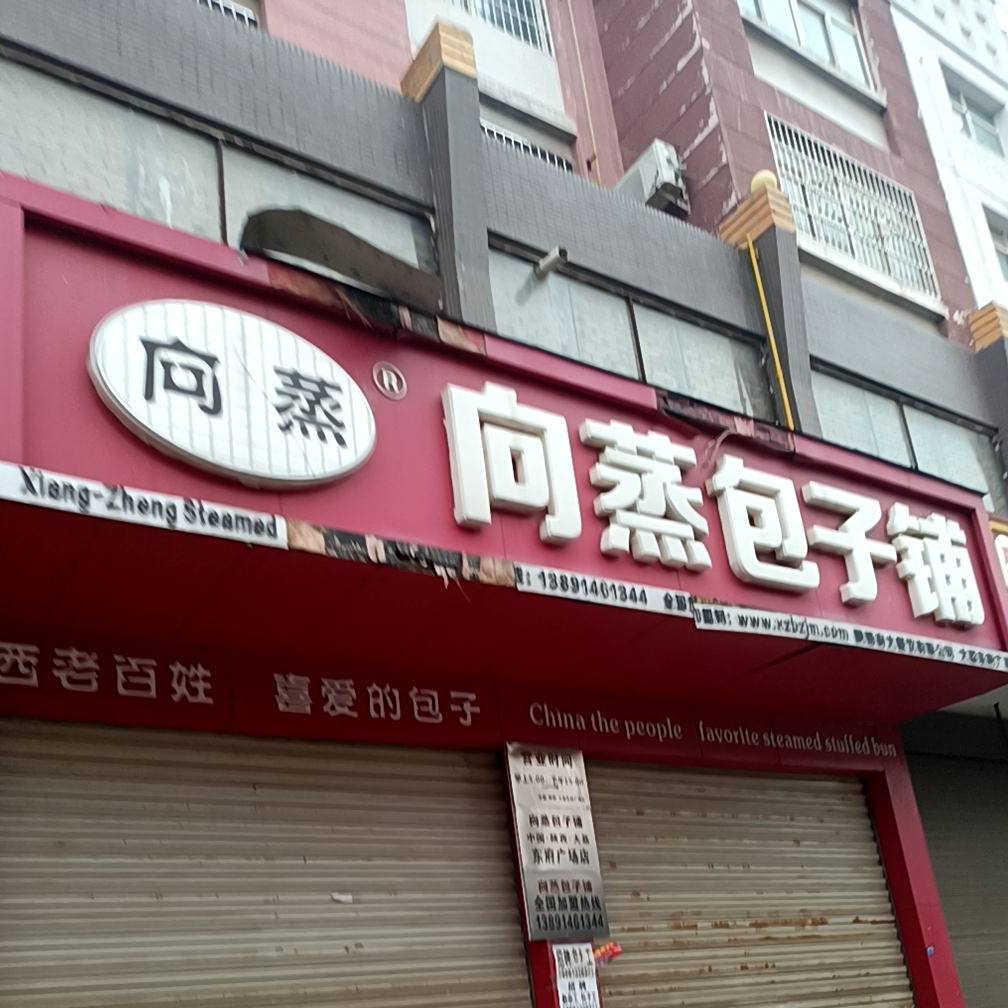 向蒸包子铺(亿丰·现代城店)
