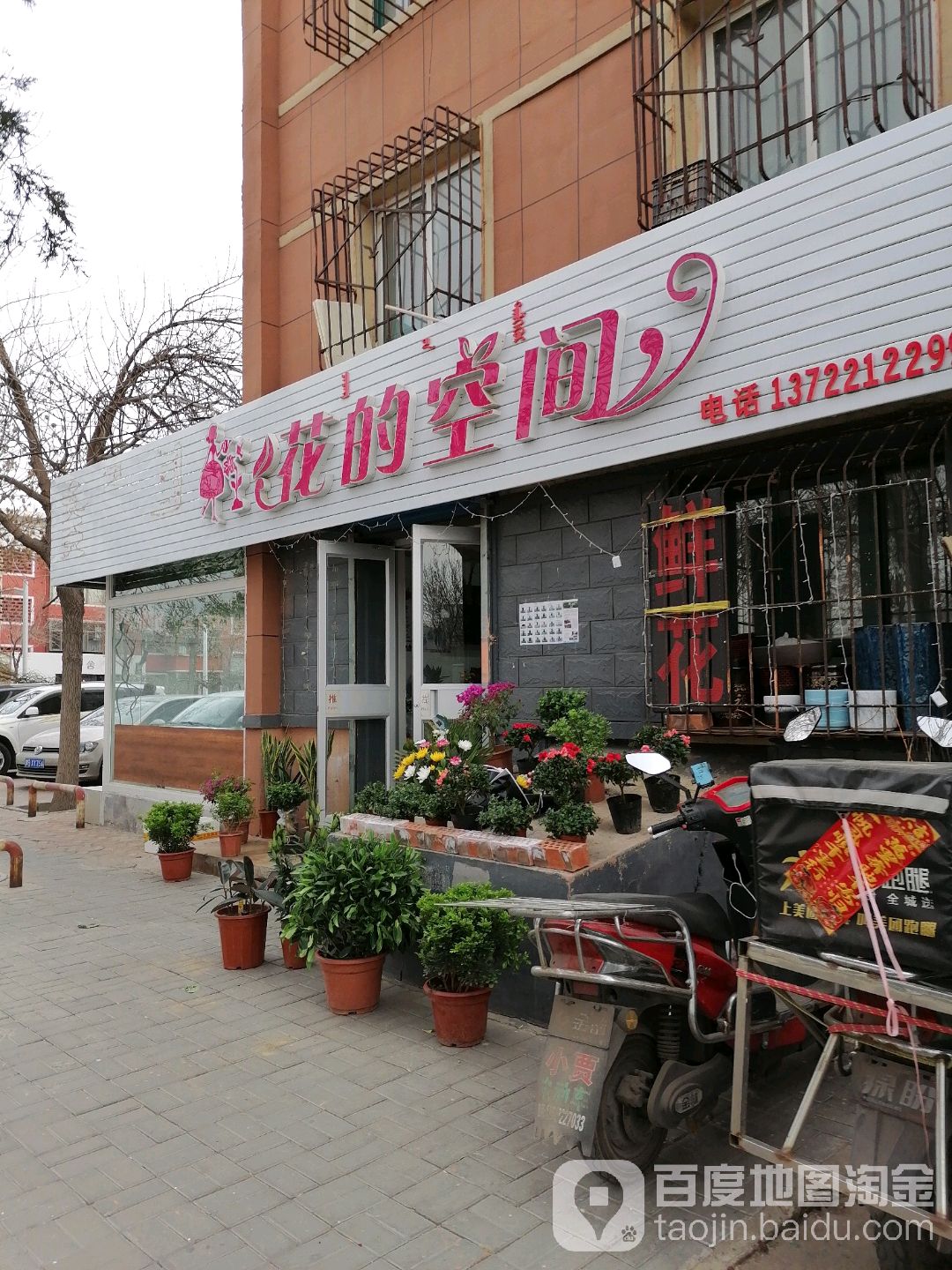 花的空间