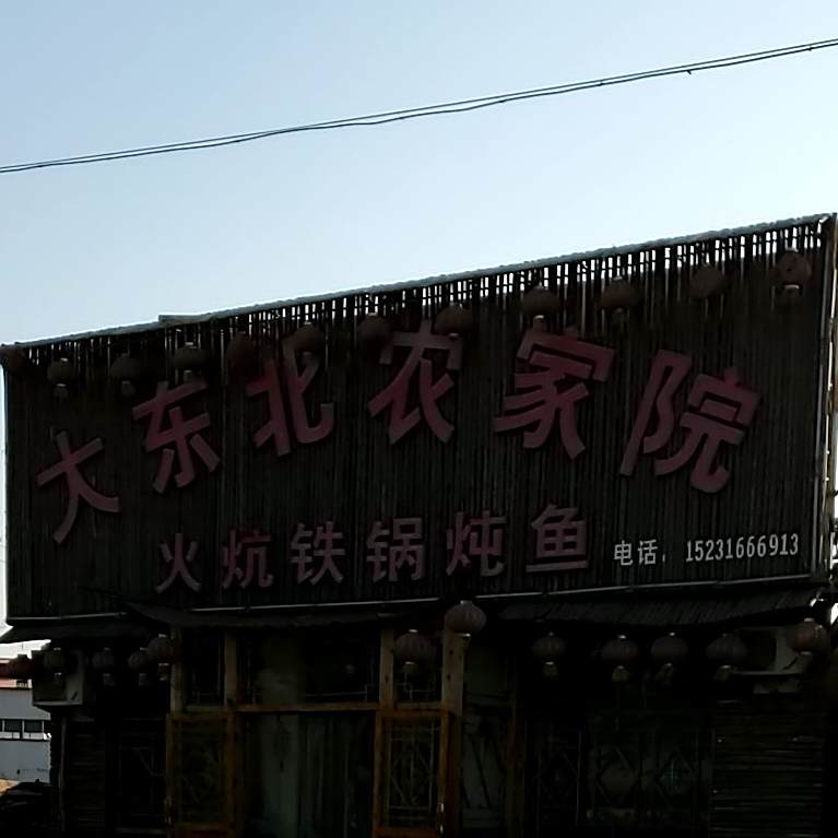 大东北农家院(盐山店)