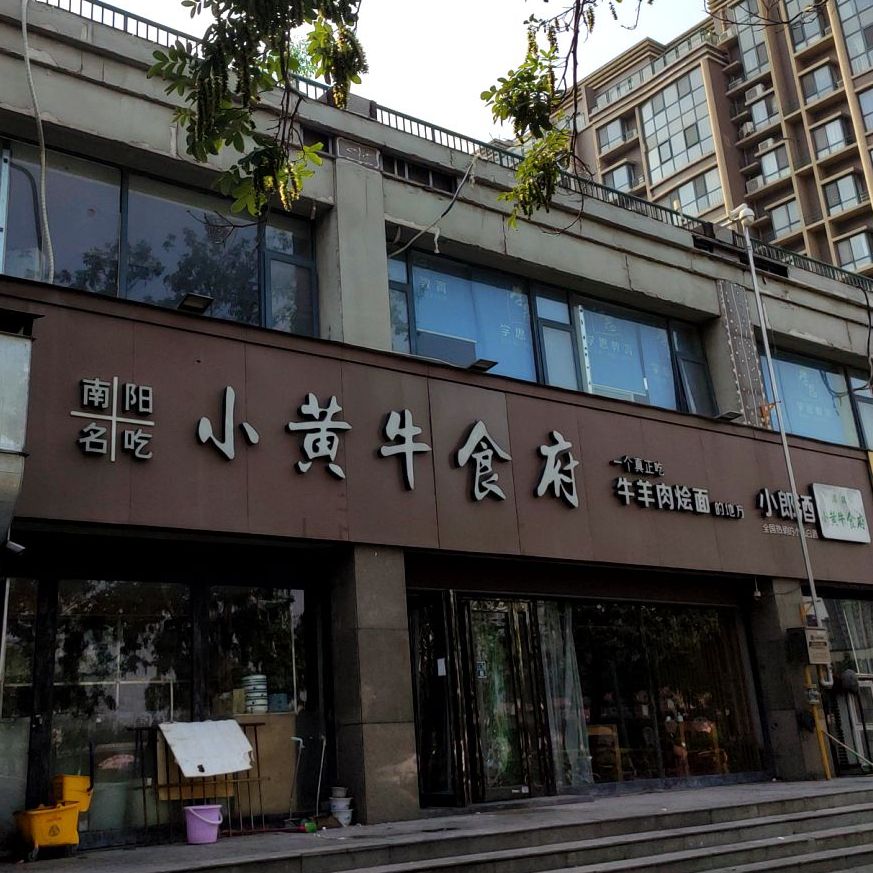 小黄牛食府清真(新五街店)