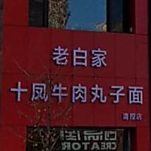 老白家十凤牛肉丸子面(清控店)