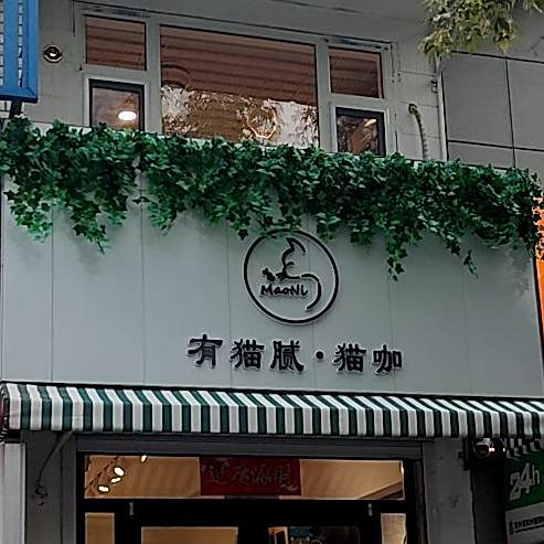 有梦妮猫咖