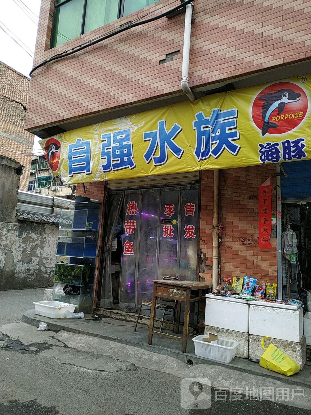 自强水族精品