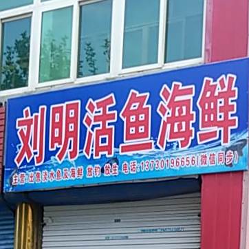 刘明活鱼海先