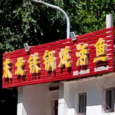 东北铁锅炖活鱼(博城五路店)