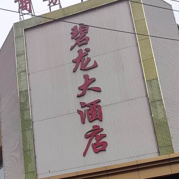 碧龙大酒店