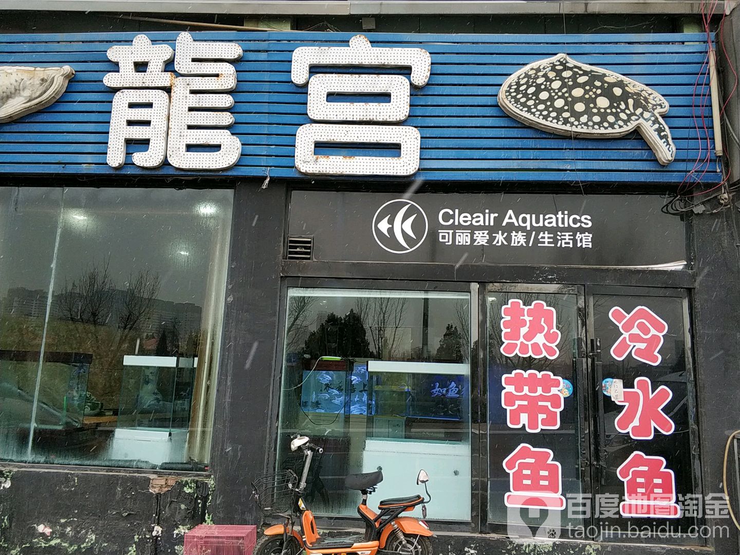 可丽爱水族馆