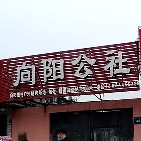 向阳公社