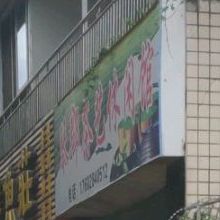 琴郡茶仪休闲馆