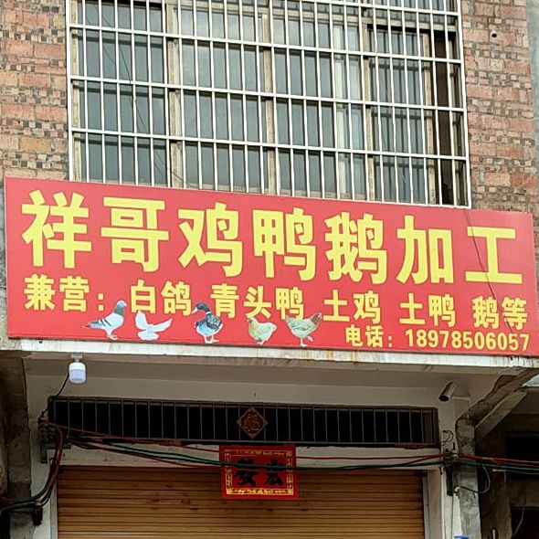 祥哥鸡鸭鹅工厂