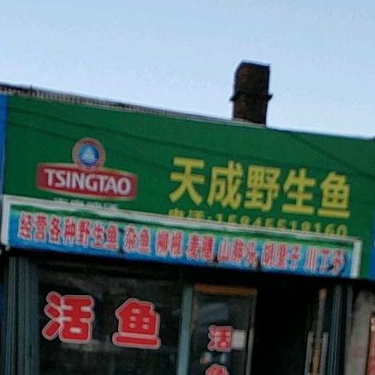 天成野生鱼