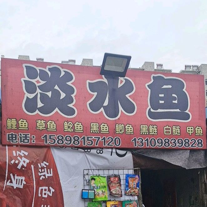 淡水鱼