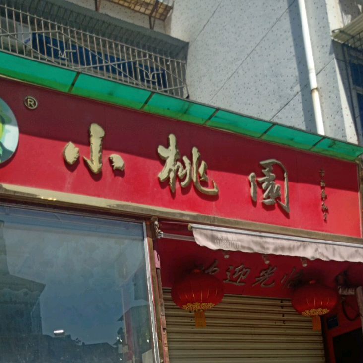 小桃园(胜利三路店)
