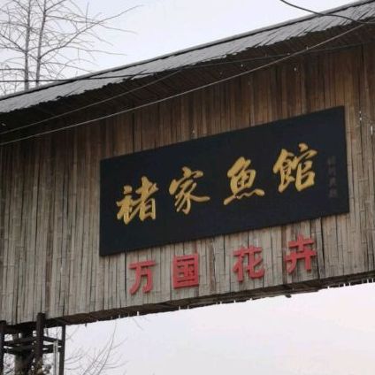褚家鱼馆