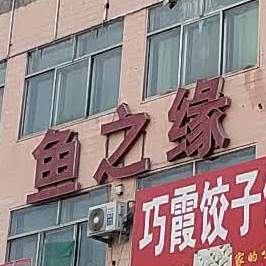 鱼之缘