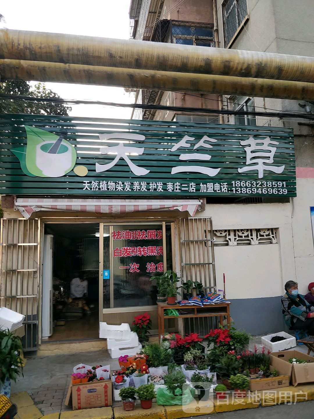 天竺草天然植物染发养丨(枣庄二店)