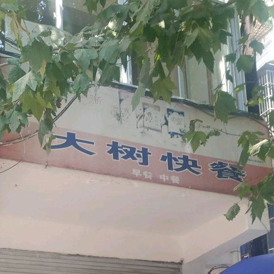大树快餐