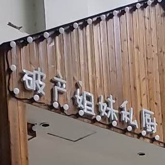 破产姐妹私处