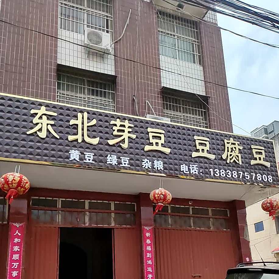 冬北芽豆豆腐豆
