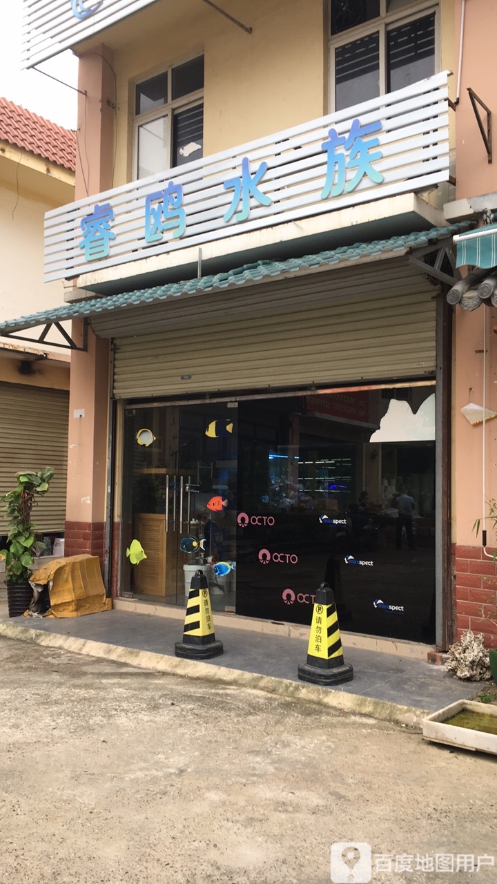 睿鸥水族(广西花鸟交易市场店)